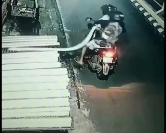 Heboh! Maling Tempe Sepanjang 2 Meter di Magelang Terekam CCTV