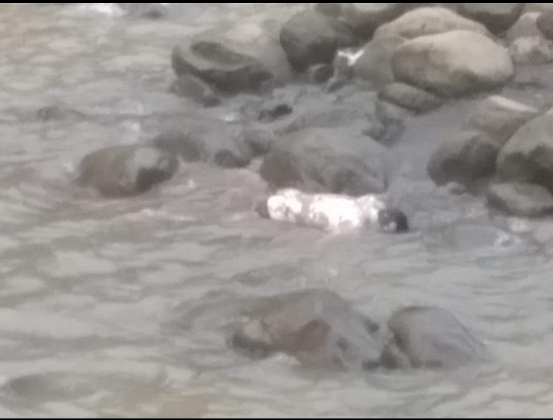 BREAKING NEWS : Penemuan Jasad di Kawasan Bendungan Ancol Magelang