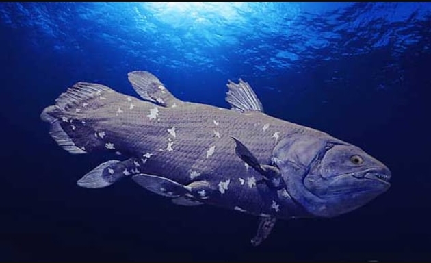 Ikan Purba Raksasa