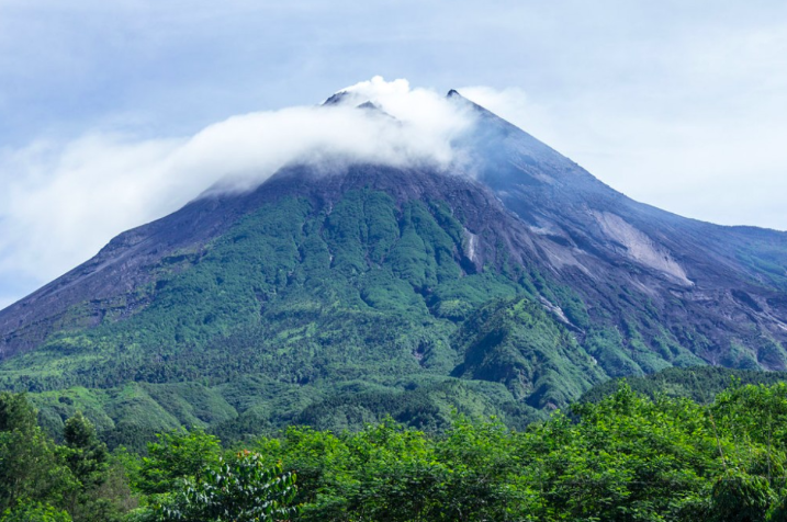 Hutan Gunung Merapi. (foto: internet)