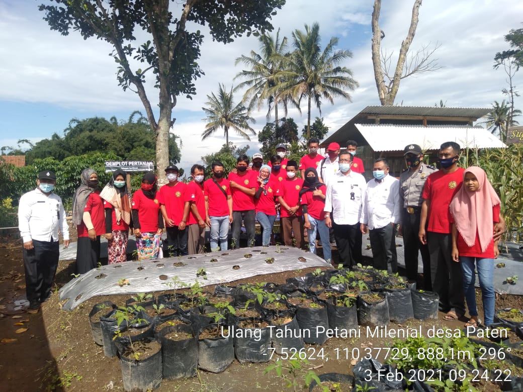Kelompok Petani Milineal lereng merapi salah satu program Dinas Pertanian Kabupaten Magelang (3/2/2021)