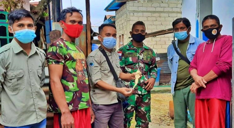 Penemuan Bayi Ikan Hiu berwajah manusia