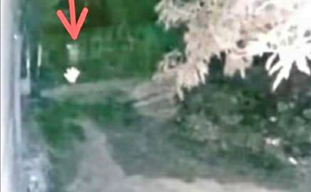 video pocong dikejar anjing terekam CCTV
