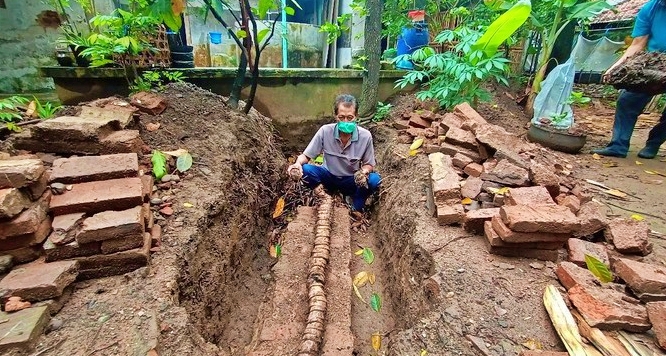 Bonggol pohon pisang sepanjang 3 meter ditemukan warga