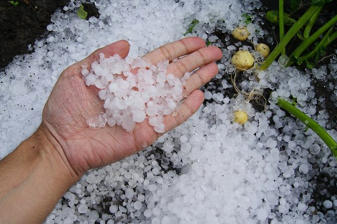 Gambar ilustrasi. (sumber: internet)