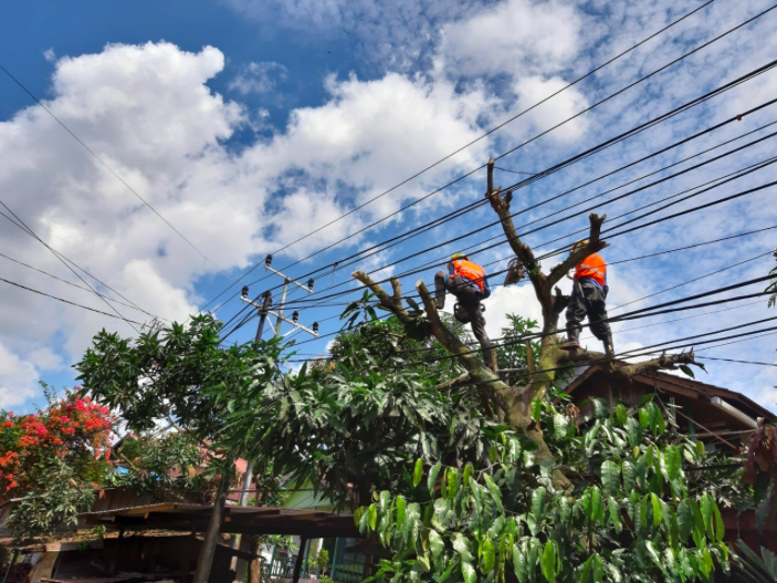 PERAWATAN: PLN UP3 Magelang bersama warga merabas pohon di lingkungan UP3 Tegalrejo. (foto: internet/ilustrasi)