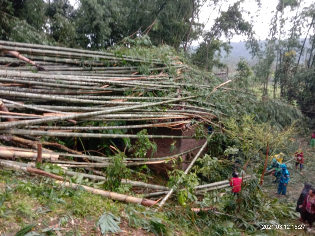 Rumah rusak akibat tertimpa rumpun bambu saat hujan disertai angin di Magelang (12/3/2021)-(Foto: Dok BPBD)
