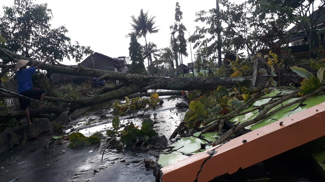 Tembok Sekolah Dasar Ketunggeng Dukun ambrol tertimpa pohon yang tumbang karena bencana angin kencang (2/3/2021)