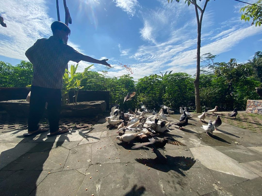 EKSTREM: Pegawai Semesta Area Borobudur memberi makan merpati di bawah terik Matahari. (sumber: Instagram @semesta_area)