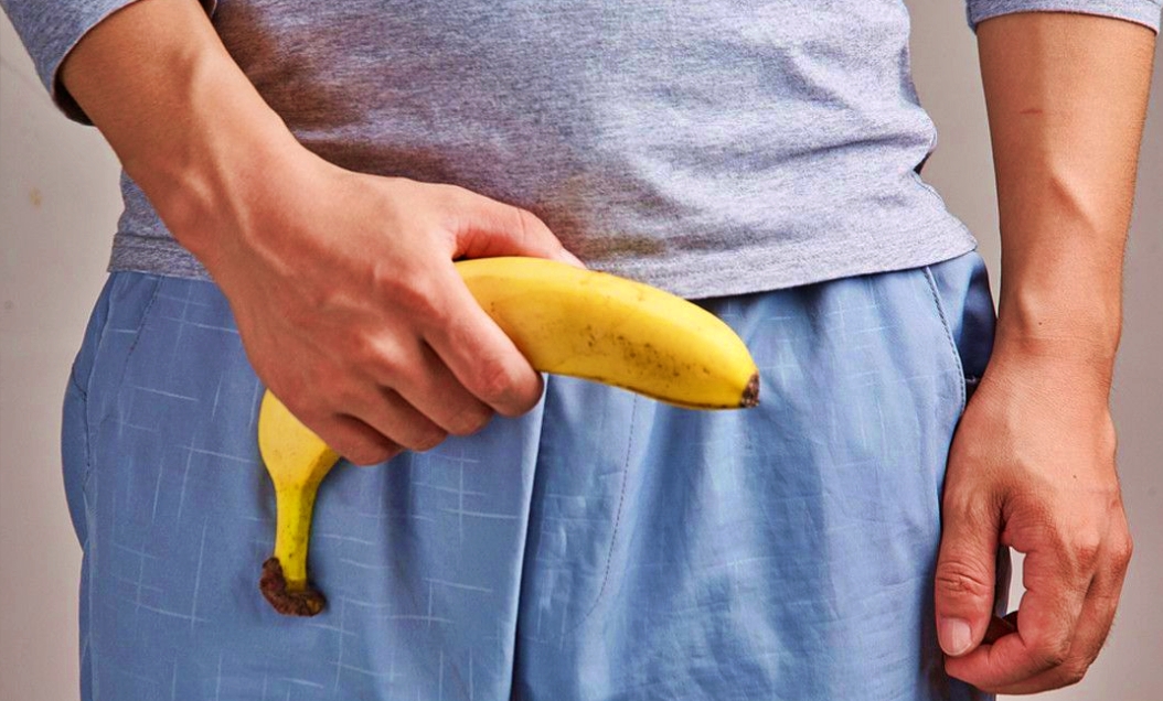 ilustrasi kelamin pria atau penis atau si anu lemah syahwat sex toys