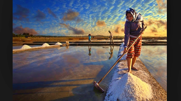 petani garam Indonesia (Foto: info publik )