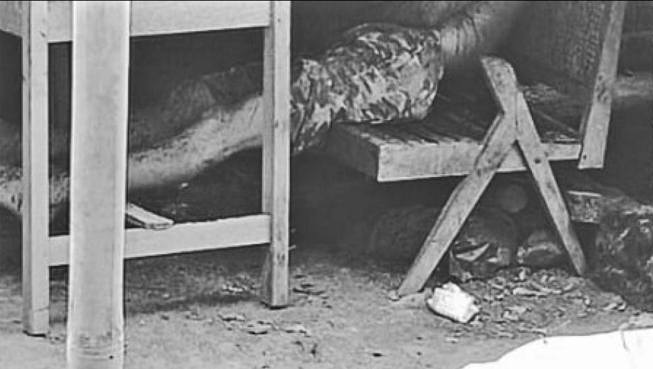 ilustrasi seorang anak penggal kepala ayahnya sendiri dan dibawa keliling kampung