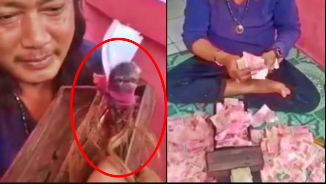 viral pria gandakan uang dengan jenglot