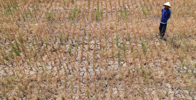 Simak, Ini Prakiraan Musim Kemarau di Jateng