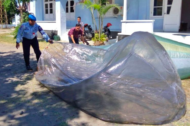 (gambar: internet/ ilustrasi)