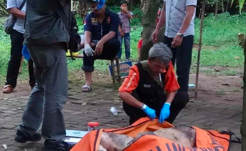 (gambar: internet/ ilustrasi)