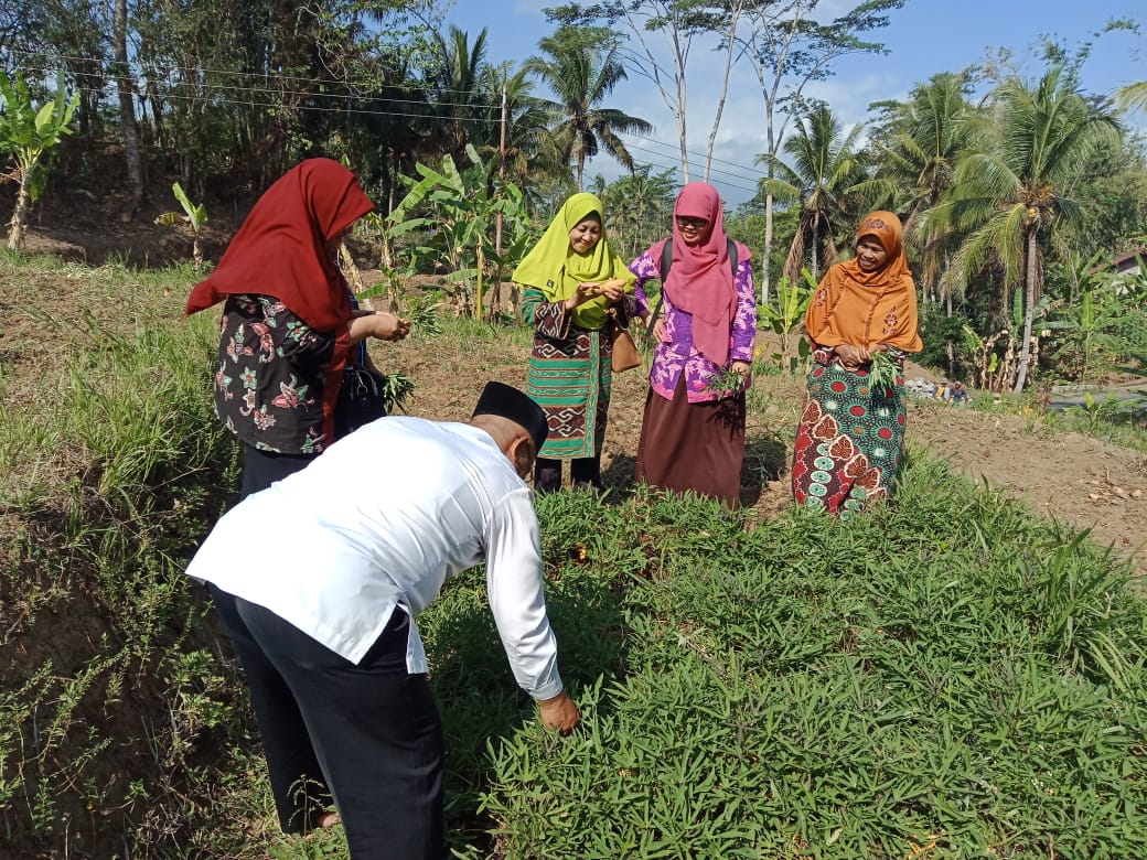 Sekolah Tani oleh UNIMMA
