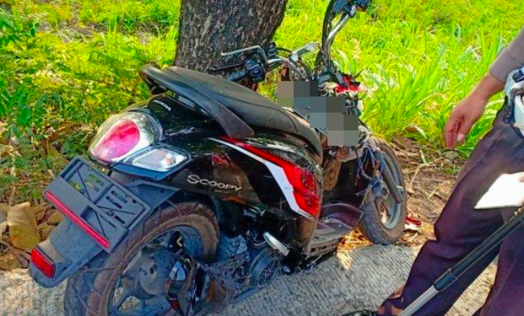 RONCOT: Honda Scoopy milik Dimas hancur usai menabrak pohon. (foto: ist)