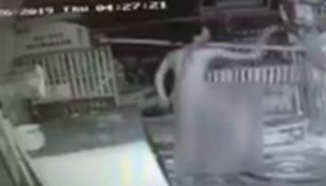TEREKAM: Seorang pria mencuri ayam di kendang miki warga terekam CCTV. (gambar: ilustrasi/ internet)