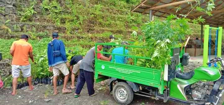 Penghijauan Lereng Merbabu