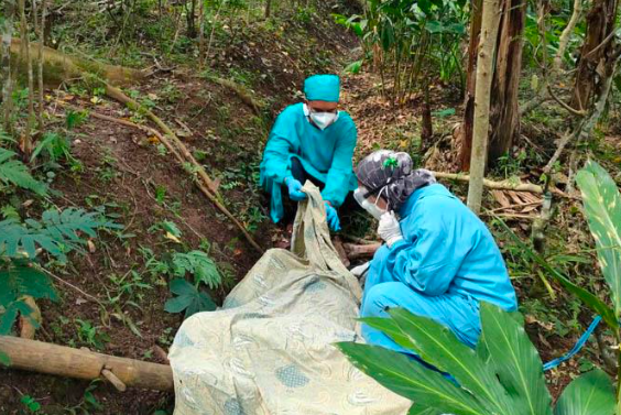 ISOLASI: petugas berpakaian APD lengkap melakukan olah tkp dan evakuasi korban jatuh dari pohon. (foto: ist)