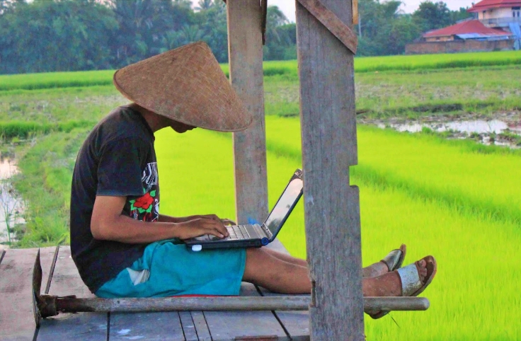 ilustrasi petani memegang laptop