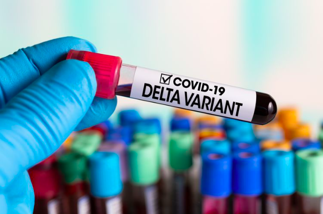 SAMPEL: Hasil uji pasien positif Covid-19 varian delta. (foto: ilustrasi/ist)