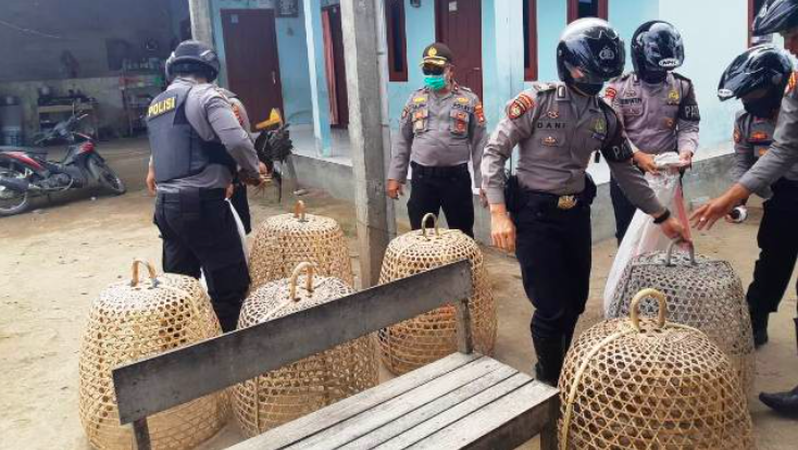 BOCOR: Polisi bubarkan praktik judi sabung ayam. (foto: ilustrasi/ist)