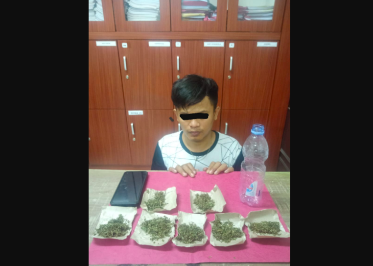 Pelaku kepemilikan ganja berikut barang bukti. (foto: ilustrasi/ist)