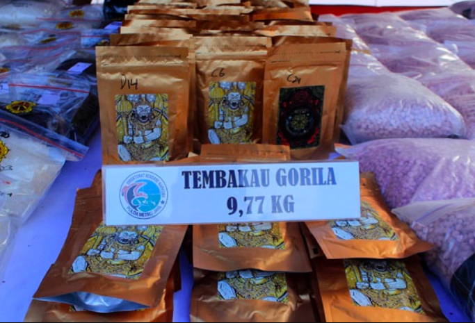 NARKOTIKA: Barang bukti tembakau gorila yang berhasil diamankan polisi. (foto: ist)