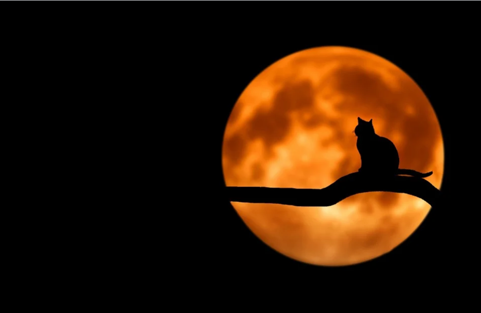 ILUSTRASI: suasana horor (foto: pixabay.com)