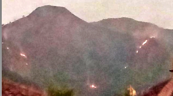lahan di lereng gunung andong terbakar