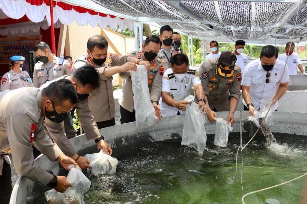 Kapolda Jateng panen ikan