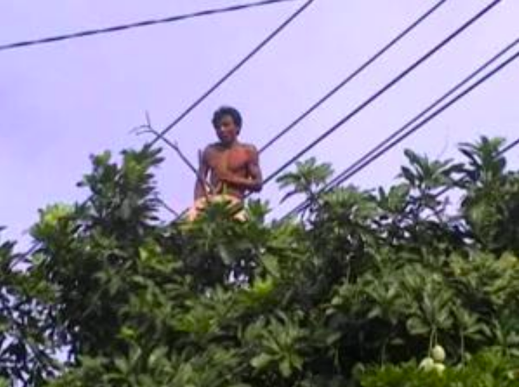 BAHAYA: Orang gila naik dan bergelantungan di pohon. (foto: ilustrasi/ist)