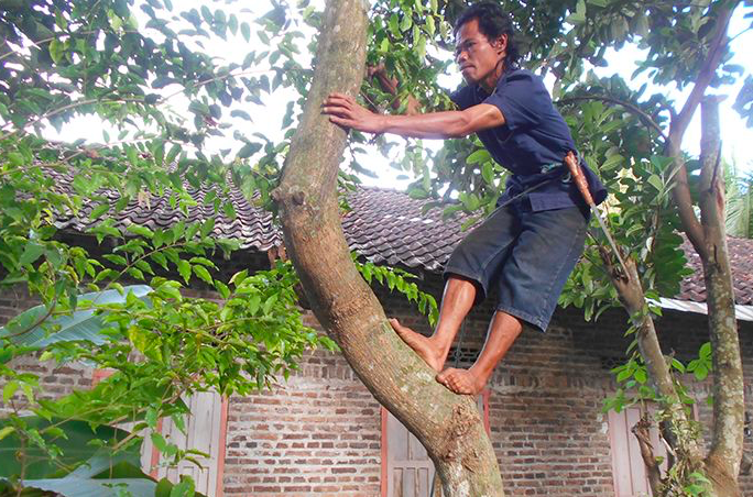 ORDER: Suryono saat menebang pohon menggunakan parang. (foto: ist)