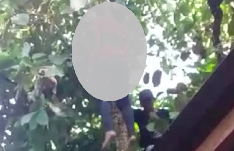 MALU: CL, janda 16 tahun tewas gantung diri di pohon jambu. (foto: ist)