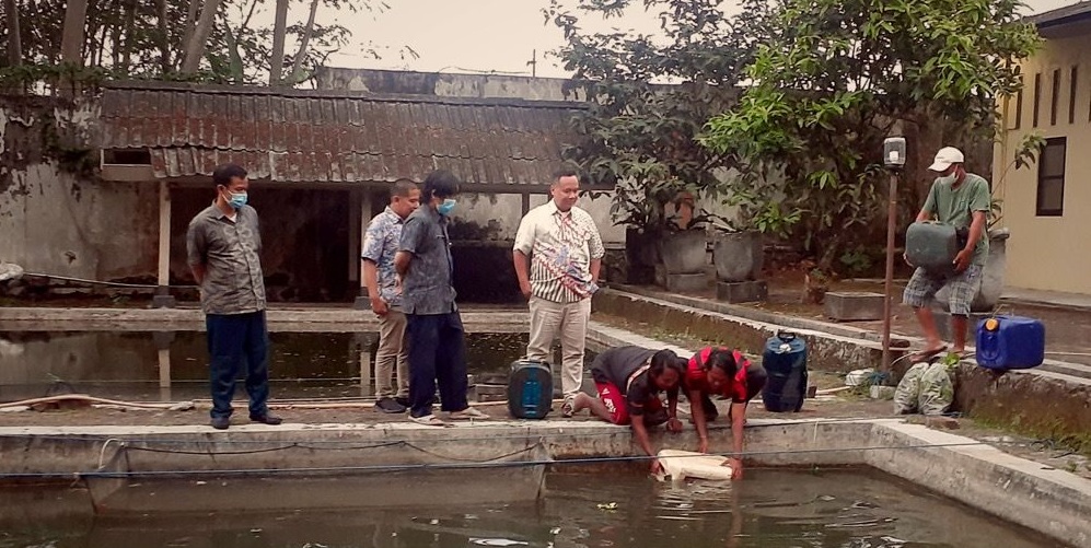 Disperpa Kota Magelang Kembangkan Produksi Ikan Gurami