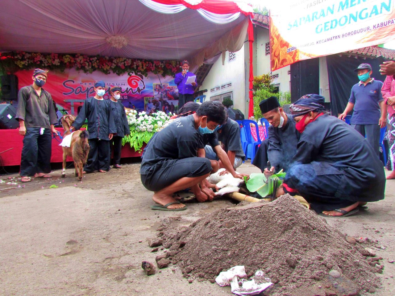 Penyembelihan Kambing sepasang ritual tradisi tolak balak di Borobudur