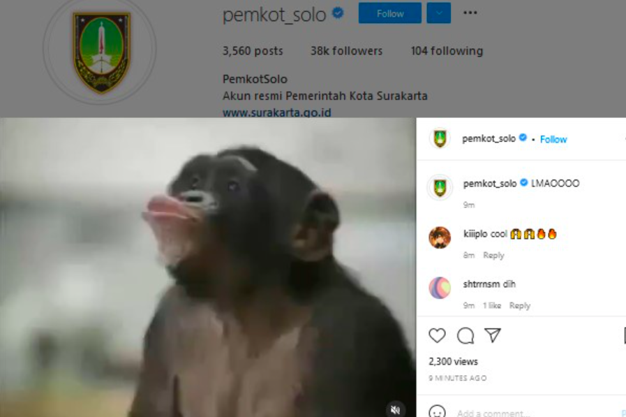 DIBAJAK: Unggahan gambar primata saat akun Instagram @pemkot_solo sesaat setelah di hack dan kemudian menghilang. (gambar: ist)