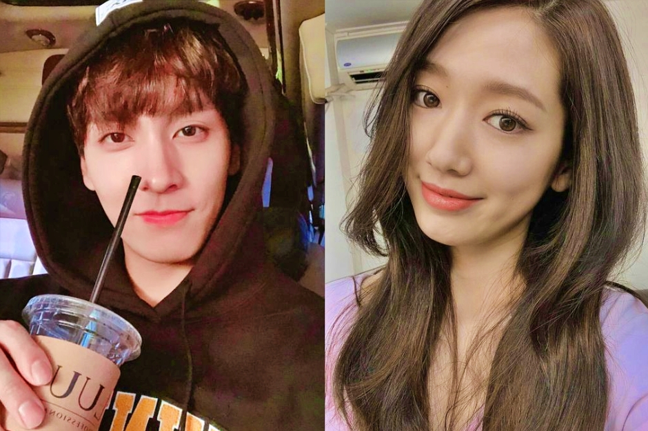 Choi Tae Joon dan Park Shin Hye
