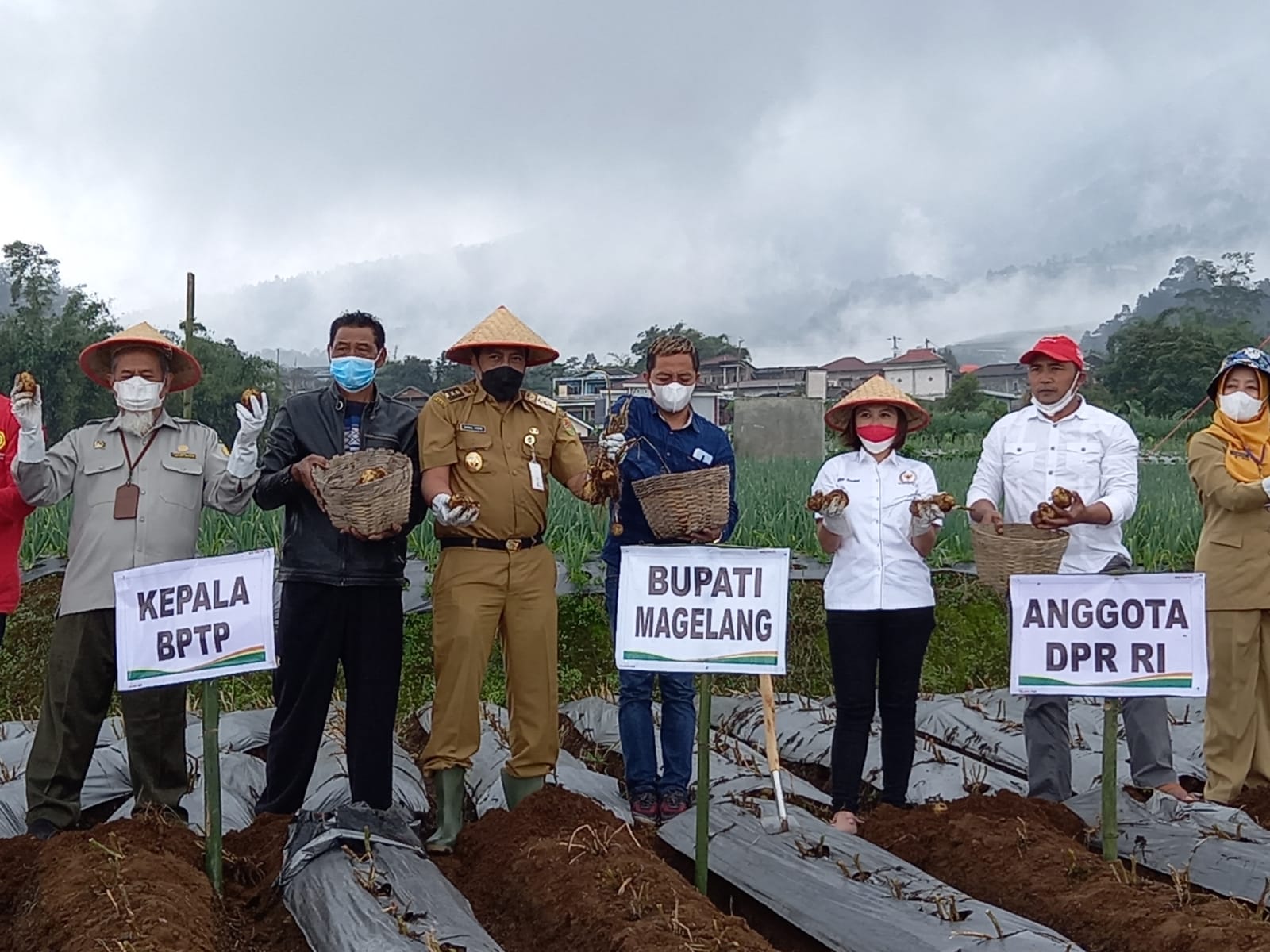Vita Ervina: Magelang Miliki Potensi Jadi Sentra Pembibitan Kentang