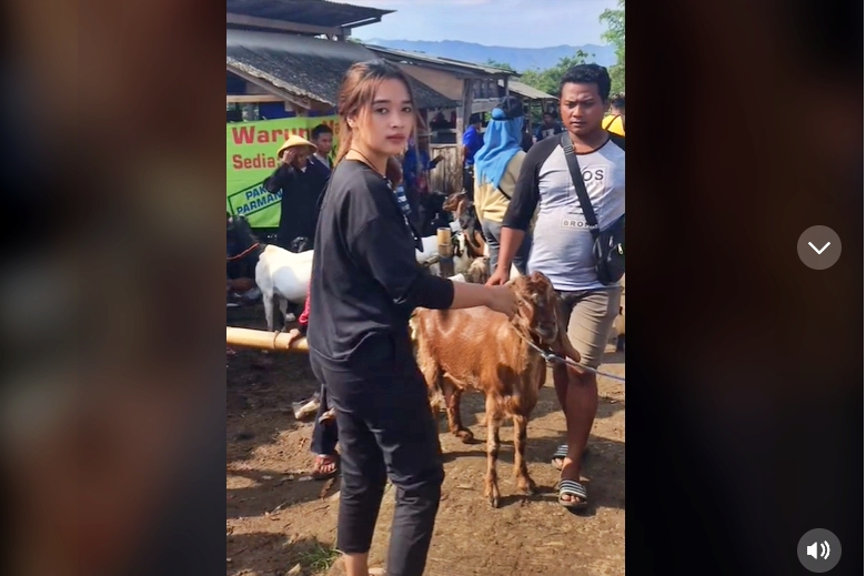 gadis cantik viral jadi belantik kambing_ tangkapan layar @candradff