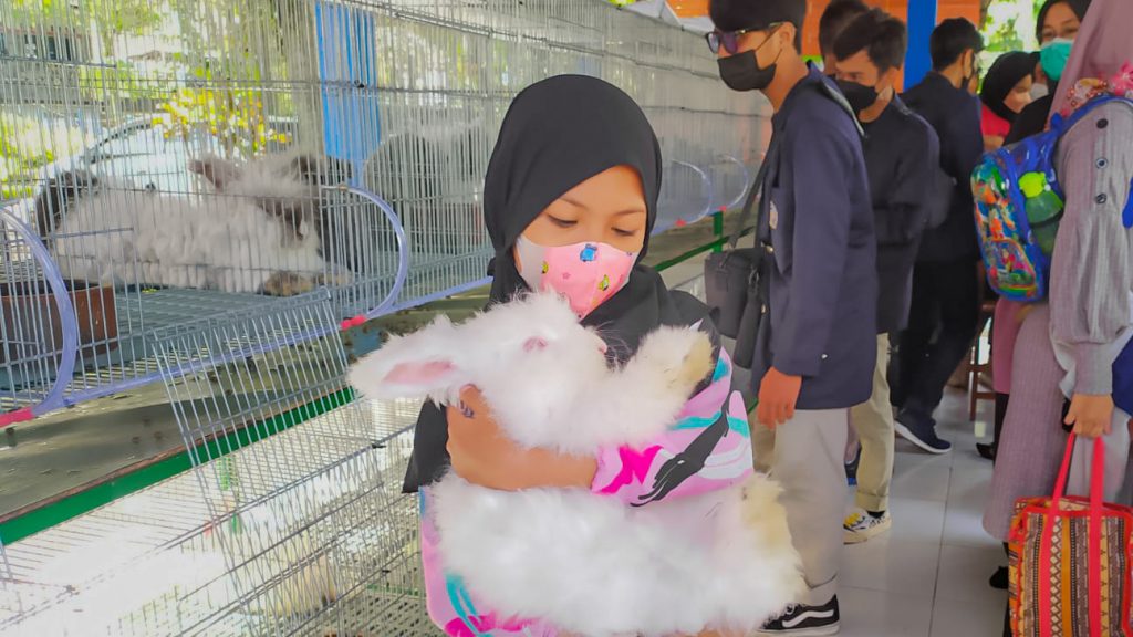 Omah Terwelu, Wahana Baru di Taman Kyai Langgeng Kota Magelang