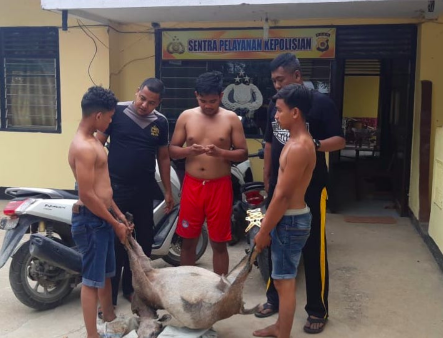 Para pencuri berikut barang bukti seekor kambing berhasil diamankan polisi. (foto: ilustrasi)