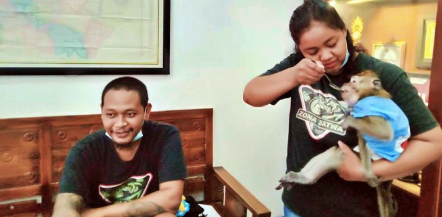 pasutri pemilik rumah zona satwa dengan kera