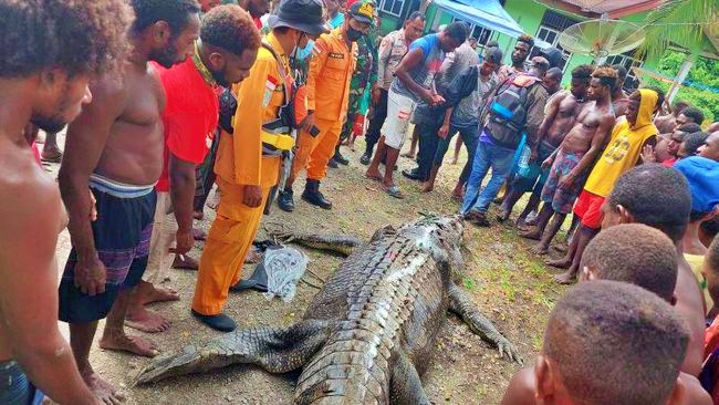 Buaya yang dibunuh warga ditemukan potongan tubuh manusia di dalam perutnya