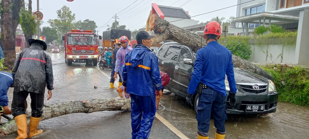Bruakk….Pohon Tumbang Timpa Mobil Melintas di Magelang