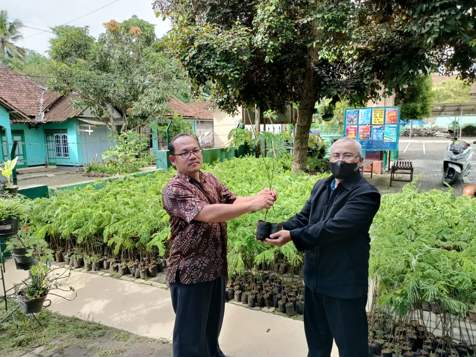 Sekretaris Distan Pangan Kota Magelang Zanuar Efendi menyerahkan hibah bibit pohon sengon kepada Ketua Majelis Pemberdayaan Masyarakat (MPM) PDM Kabupaten Magelang Yusron Masduki, akhir pekan lalu.