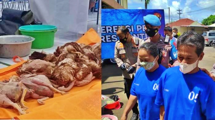Pelaku pembuat bakso dari ayam tiren di Bantul