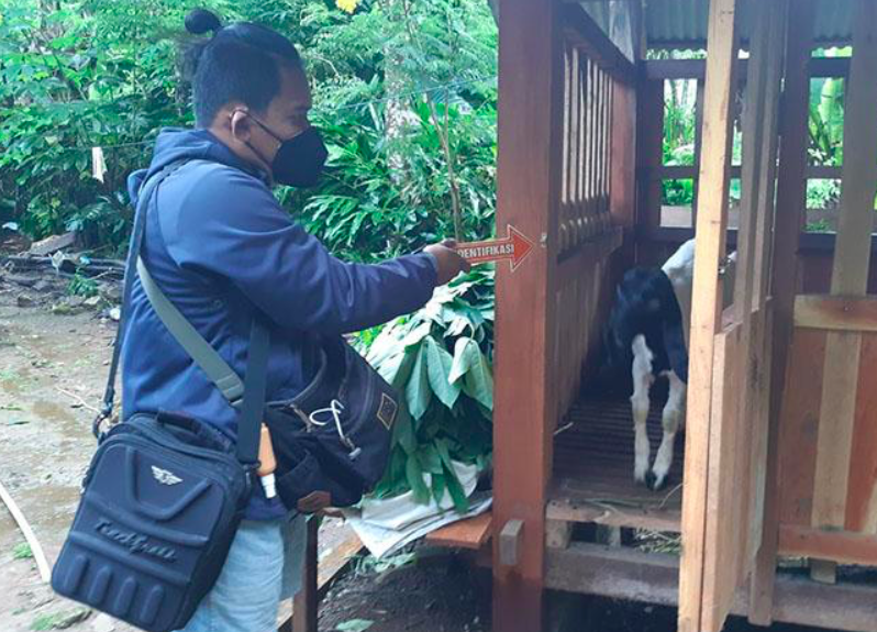 EMBEK: Polisi melakukan olah TKP di kandang kambing Peranakan Etawa. (foto: ist)